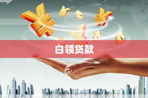 田中白领贷款