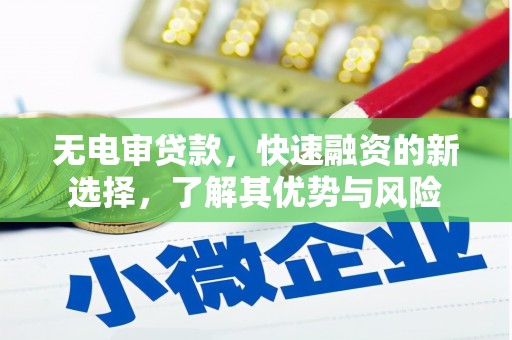 田中无电审贷款，快速融资的新选择，了解其优势与风险