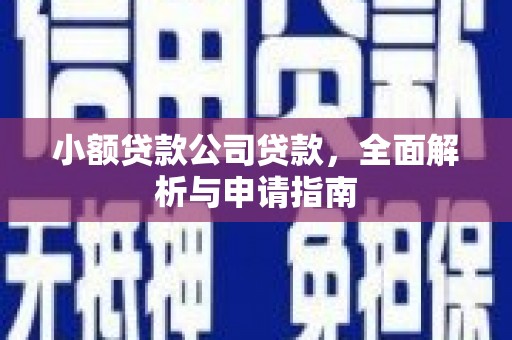 田中小额贷款公司贷款，全面解析与申请指南