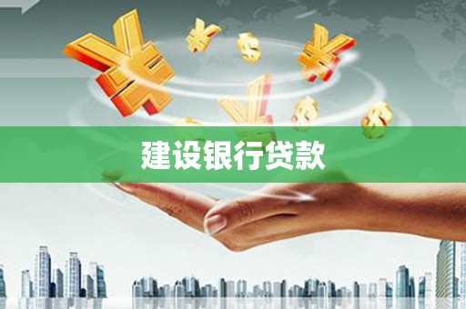 田中建设银行贷款