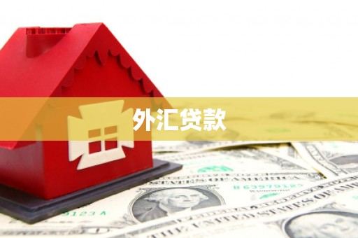 田中外汇贷款