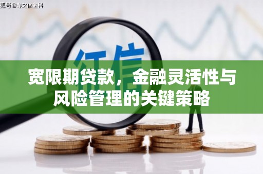 田中宽限期贷款，金融灵活性与风险管理的关键策略