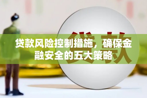田中贷款风险控制措施，确保金融安全的五大策略