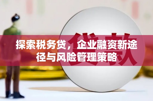 田中探索税务贷，企业融资新途径与风险管理策略