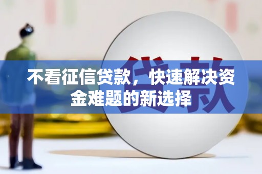田中不看征信贷款，快速解决资金难题的新选择