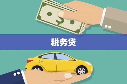 田中税务贷