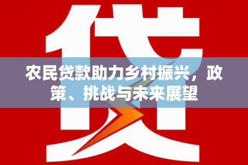田中农民贷款助力乡村振兴，政策、挑战与未来展望