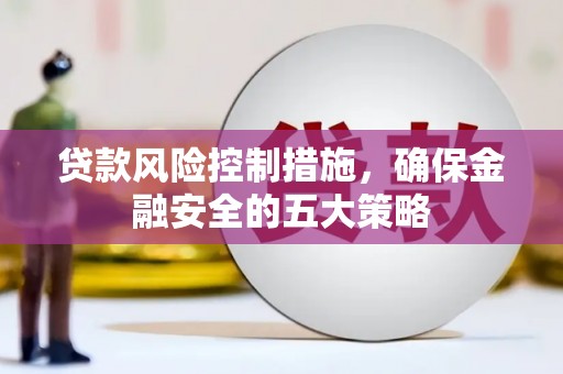 田中贷款风险控制措施，确保金融安全的五大策略