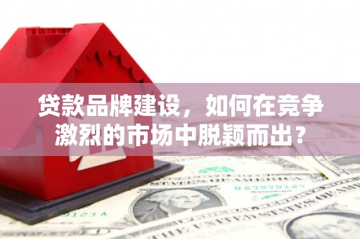 田中贷款品牌建设，如何在竞争激烈的市场中脱颖而出？