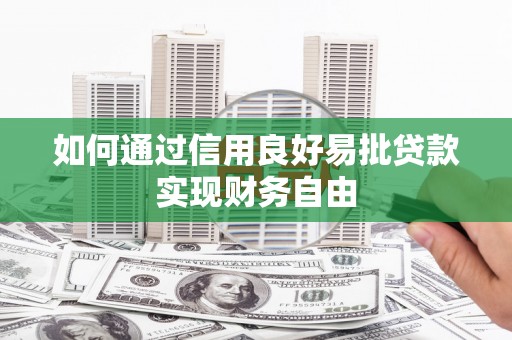 田中如何通过信用良好易批贷款实现财务自由