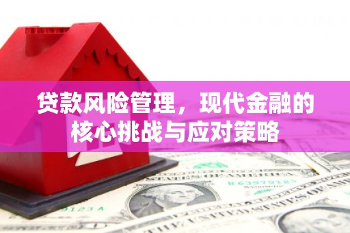 田中贷款风险管理，现代金融的核心挑战与应对策略