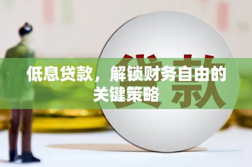 田中低息贷款，解锁财务自由的关键策略