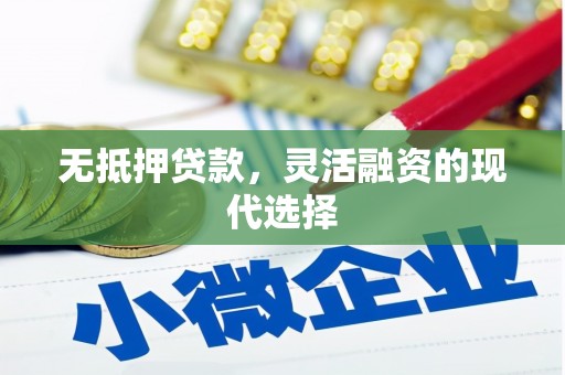 田中无抵押贷款，灵活融资的现代选择