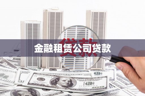 田中金融租赁公司贷款