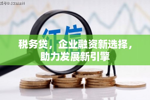 田中税务贷，企业融资新选择，助力发展新引擎