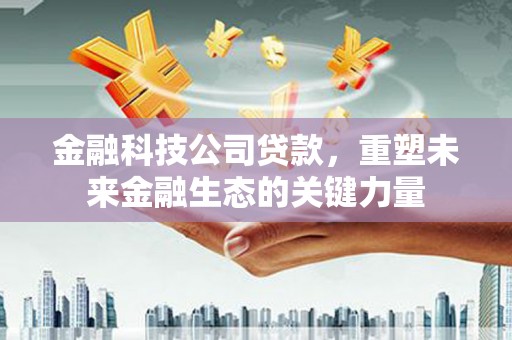 田中金融科技公司贷款，重塑未来金融生态的关键力量