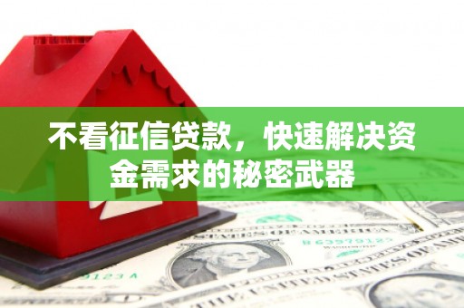 田中不看征信贷款，快速解决资金需求的秘密武器