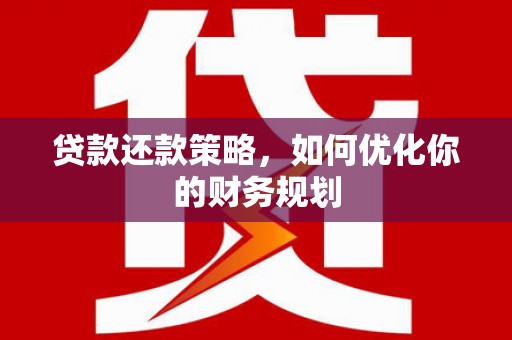 田中贷款还款策略，如何优化你的财务规划