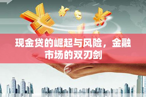 田中现金贷的崛起与风险，金融市场的双刃剑