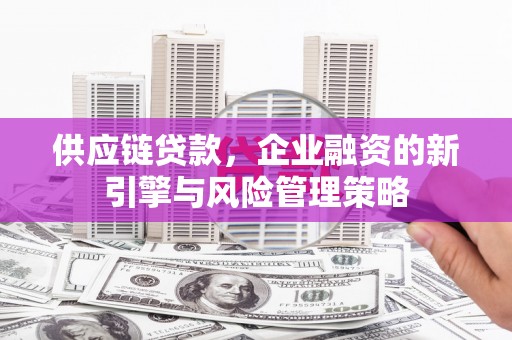 田中供应链贷款，企业融资的新引擎与风险管理策略