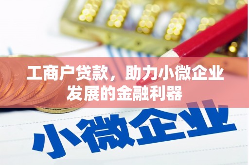 田中工商户贷款，助力小微企业发展的金融利器