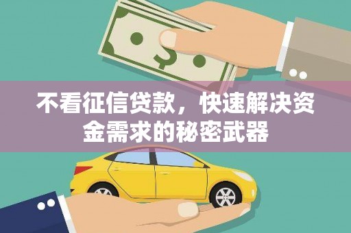 田中不看征信贷款，快速解决资金需求的秘密武器