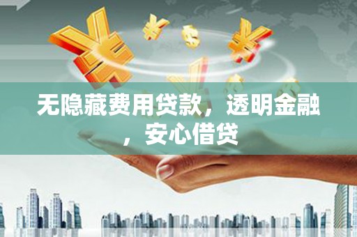 田中无隐藏费用贷款，透明金融，安心借贷