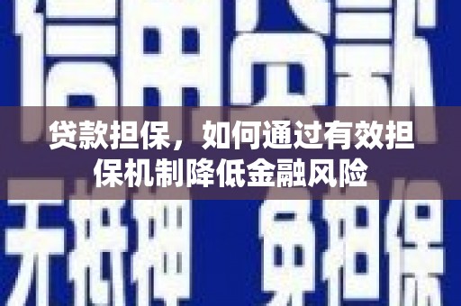 田中贷款担保，如何通过有效担保机制降低金融风险