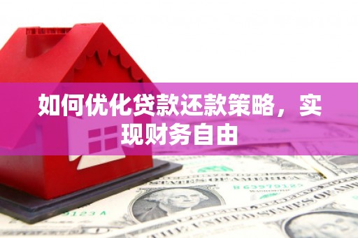 田中如何优化贷款还款策略，实现财务自由