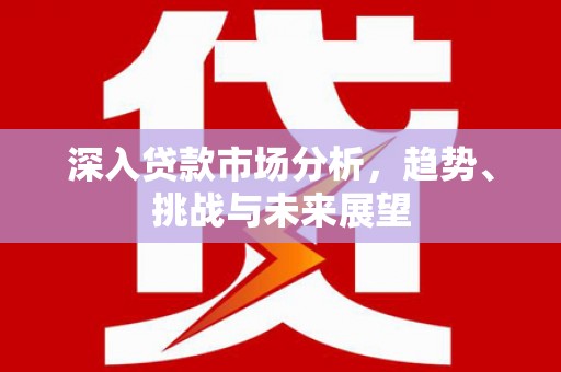 田中深入贷款市场分析，趋势、挑战与未来展望