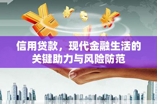 田中信用贷款，现代金融生活的关键助力与风险防范