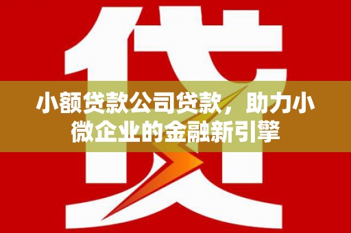 田中小额贷款公司贷款，助力小微企业的金融新引擎