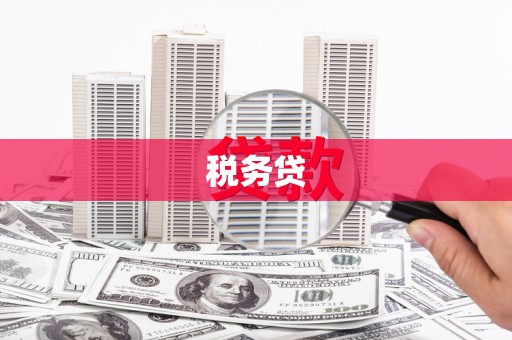 田中税务贷