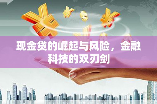 田中现金贷的崛起与风险，金融科技的双刃剑