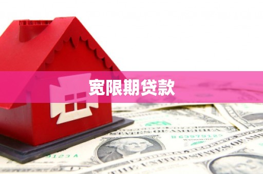 田中宽限期贷款