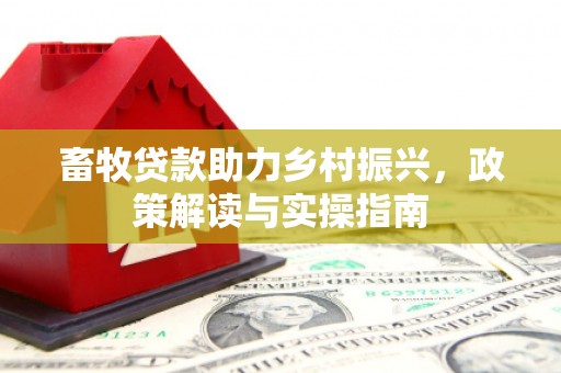 田中畜牧贷款助力乡村振兴，政策解读与实操指南