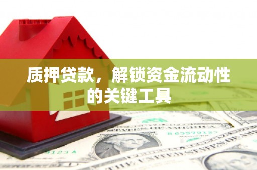 田中质押贷款，解锁资金流动性的关键工具