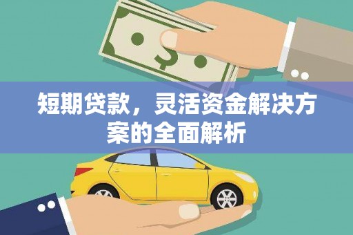 田中短期贷款，灵活资金解决方案的全面解析