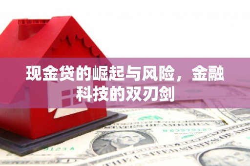 田中现金贷的崛起与风险，金融科技的双刃剑