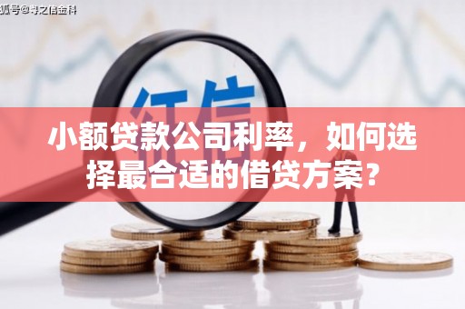 田中小额贷款公司利率，如何选择最合适的借贷方案？