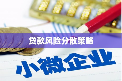 田中贷款风险分散策略