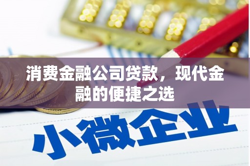 田中消费金融公司贷款，现代金融的便捷之选