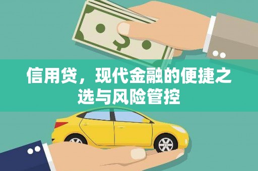 田中信用贷，现代金融的便捷之选与风险管控