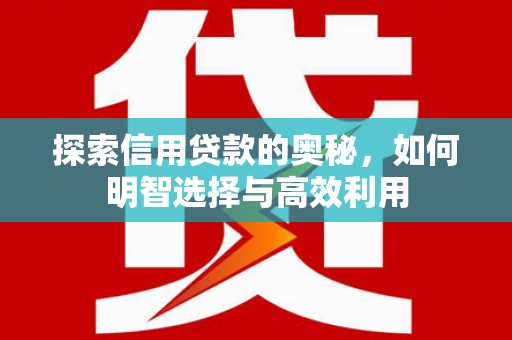 田中探索信用贷款的奥秘，如何明智选择与高效利用