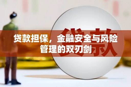 田中贷款担保，金融安全与风险管理的双刃剑