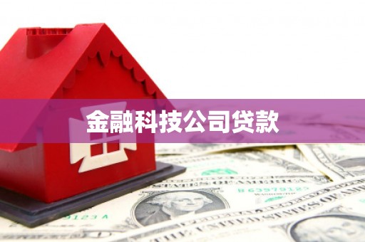 田中金融科技公司贷款