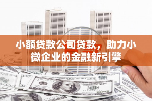 田中小额贷款公司贷款，助力小微企业的金融新引擎