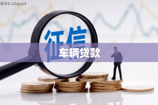 田中车辆贷款