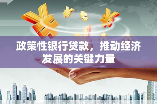 田中政策性银行贷款，推动经济发展的关键力量