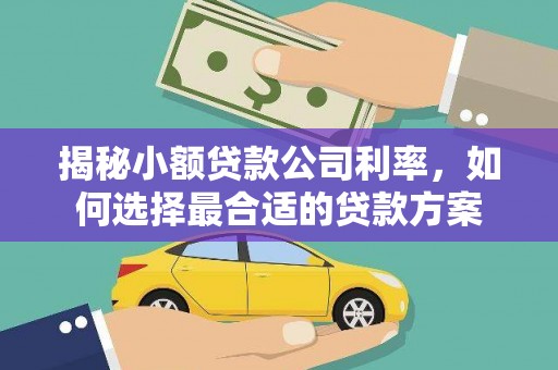 田中揭秘小额贷款公司利率，如何选择最合适的贷款方案